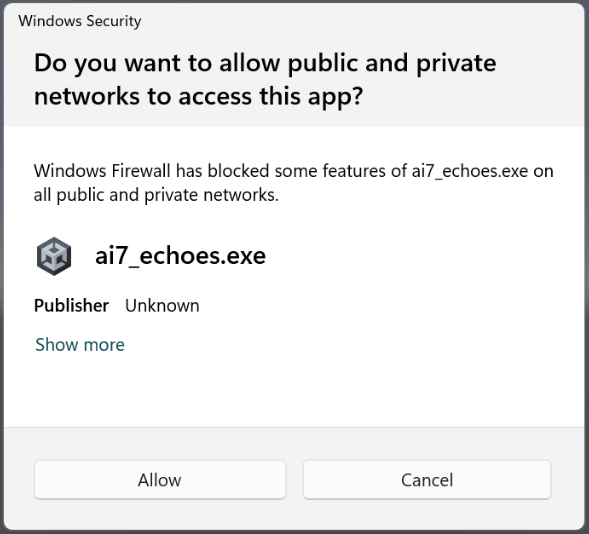 Windows Security dialog asking to allow public and private networks to access ai7_echoes.exe